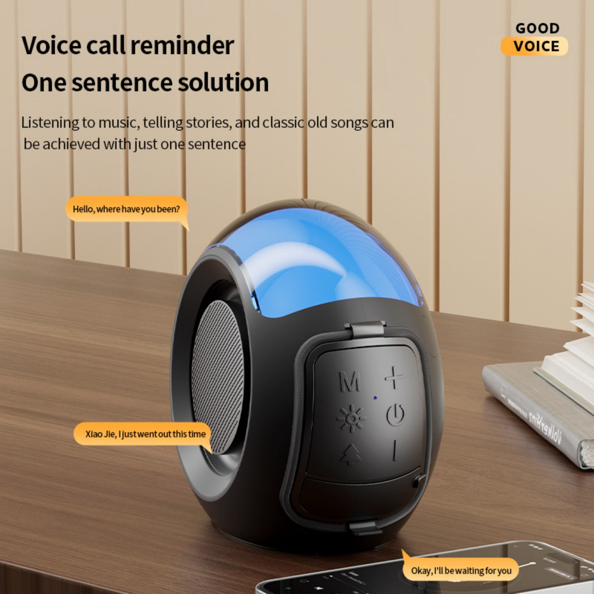 BASS-09 Portable Wireless Bluetooth Speaker